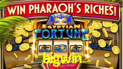 Descubra a Magia dos Jogos de Arcade no bigwin
